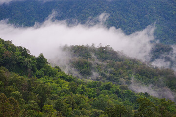 Fototapeta na wymiar mountain and fog landscape with blue sky of high view