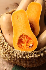 Butternut Squash 땅콩호박