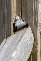 Wooden beams linked across wooden posts in a park