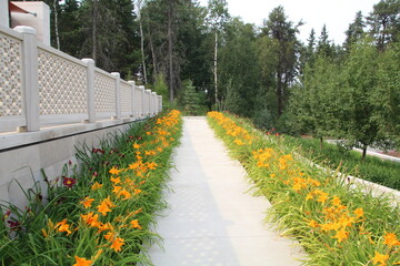 Path By The Lilies, U of A Botanic Gardens, Devon, Alberta