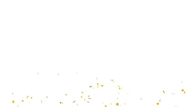 Realistic Gold Confetti Particles with Alpha Luma Matte Channel.