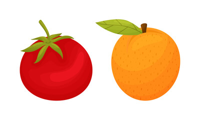 Fresh ripe fruit and vegetable set. Tomato and apricot organic vegetarian food cartoon vector illustration