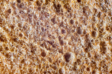 Bread crumb texture background close up