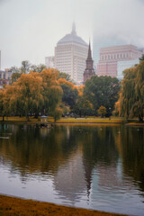 Foliage at Boston Common
