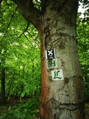 Den Lutherweg entlang