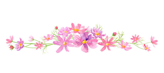 コスモスの花の装飾ライン。水彩イラストのベクターデータ。