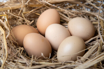 easter basket with easter eggs on straw background