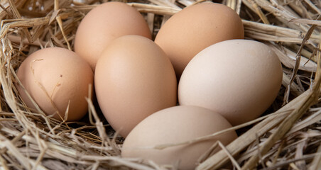 easter basket with easter eggs on straw background