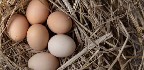 easter basket with easter eggs on straw background
