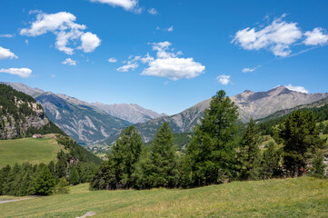 Fototapeta na wymiar Paysage de montagne dans les Alpes-de-Haute-Provence dans le col de la Bonette vers la vallée de l'Ubaye en France en été