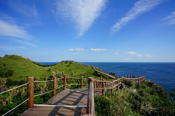 Fototapeta na wymiar a beautiful seascape with a seaside walkway