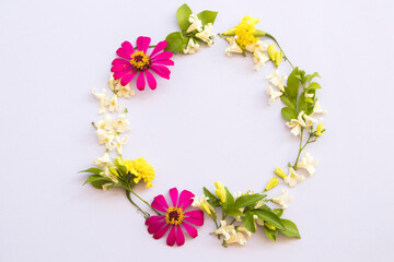 colorful flowers marigold, jasmine, zinnia elegans local flora of asia arrangement flat lay circle postcard style on background white
