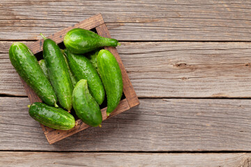 Fresh garden cucumber