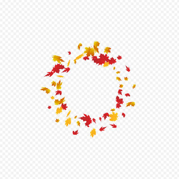 Red Leaves Vector Transparent Background.