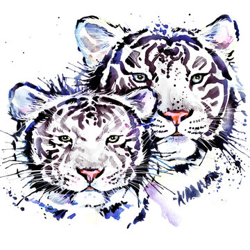 Tiger isolated on white background. Watercolor Illustration. wild animal
