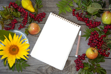 Rowan berries, a sunflower in a vase, apples and pears on a wooden background. Notepad with a blank sheet of paper for writing text. Autumn natural composition. Flat lay, top view.