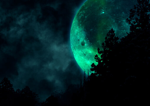 不気味な夜の森に浮かぶ黄色い満月のイラスト2 Stock Illustration Adobe Stock