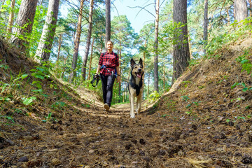 Friendship between human and dog. Walk in nature. A girl on a walk with a dog