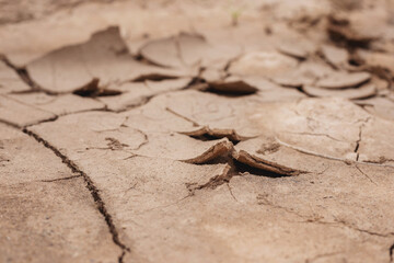 Cracked soil caused by nature in the tropics in hot weather