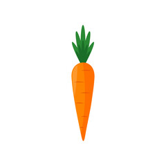 Carrots icon isolated on white background