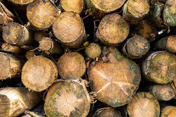 Stapel von Baumst&auml;mmen &uuml;bereinander abstrakt