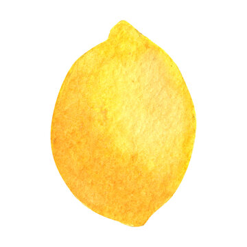 Lemon. Watercolor composition on a white background.