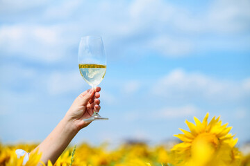 Glass of wine on a background of a sunflower field. 