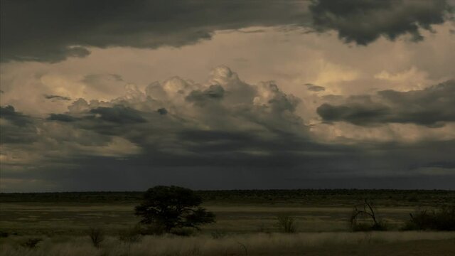 Dramatic Thunderstorm With Lightning Over Field In Mabuasehube, Kgalagadi Transfrontier Park In Botswana. wide shot, time lapse