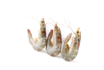 Close up fresh shrimp isolated on white background