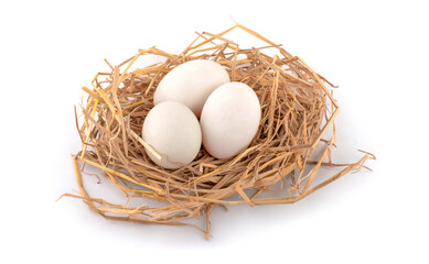 Fresh duck eggs on the straw nest.