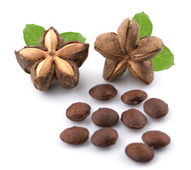 Sacha Inchi on white background, fresh capsule seeds fruit of sacha-Inchi peanut