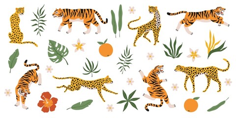 Fototapeta na wymiar Tigers, leopards and jaguars with tropical plants. Wild animals, palm leaves flowers and fruits, safari predators, cat family. Safari and zoo mammals. Decor elements vector isolated set