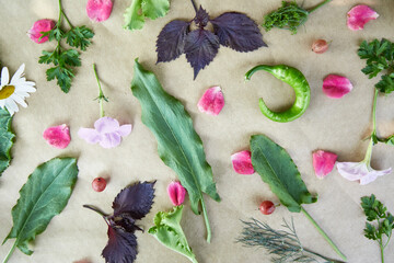 Vegetable frame: beet, basil, eggplant, parsley, bell pepper, hot pepper, potatoes, cucumber, carrots. Italian vegetable recipe. Veganism concept food.Top view, copy space