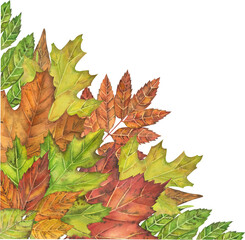 Watercolor fall leaves arrangements. Autumn fall leaves frames isolated on white background