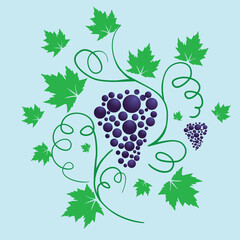 
A vector illustration of a grapevine with some leafs and branches.