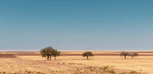 plowed wheat fields, hills and sky. view.