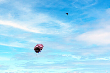 A balloon flies after a wild bird in the blue sky