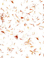 Saffron spice threads (strands) isolated on white background. Saffron sprinkle on white. Red spice isolated.