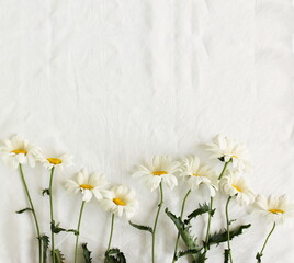 chamomile flowers pattern on white linen texture  background top view, copy space.Daisy backdrop. toned. Poster