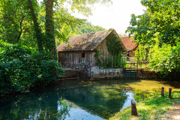 Fototapety na wymiar - Fototapeta24.pl