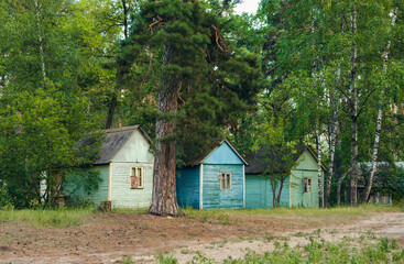 view of the old small wooden houses in the forest