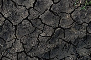 cracked soil
arid  Earth soil   ground   clay  