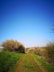 Obraz premium Auf dem Sand in Wolfsburg-Unkeroda