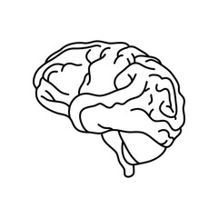 brain vector. for medical, web application.illustration vector eps 10