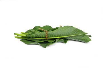 Obraz premium Green Sorrel Leaves Isolated on White Background. Rumex pulcher. Rumex crispus. Leaves of Rumex patientia isolated on white.