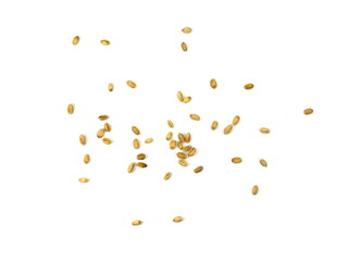 Wheat pile seeds on white background. wheat grains isolated.