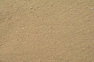 Golden Sand on the beach as background. Sand Texture. Golden sand. Background from fine sand.