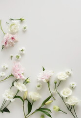 White and pink flowers frame on white  background top view, copy space. Flowers composition template.Floral card.