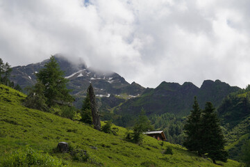 Fototapeta na wymiar Wanderung auf den Zunig bei Matrei in Osttirol