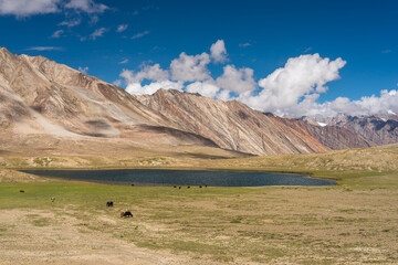 Beautiful landscape of Penzi la pass in summer season, Zanskar valley in Ladakh region, north India